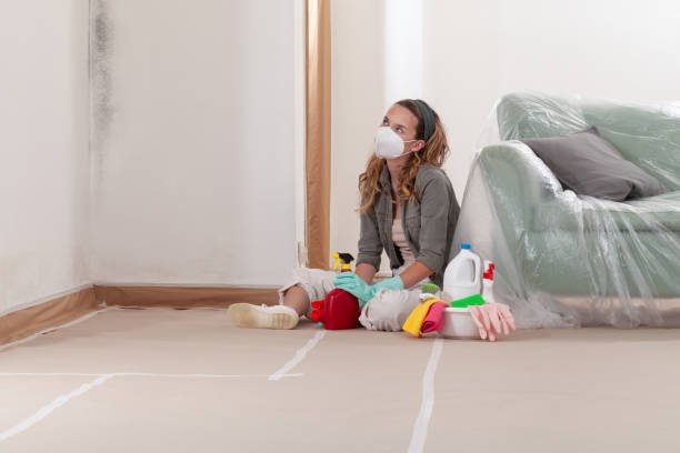 Reliable Mold Cleanup contractor in Naples, TX by Cheap Mold Removal